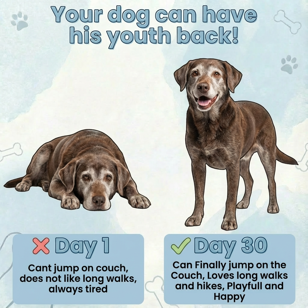 Reverse Joint Aging with FlexPaws™